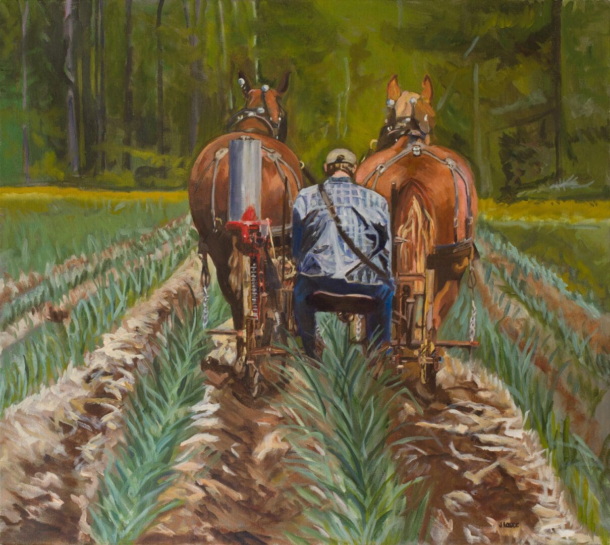 Farmer plowing field with two horses.