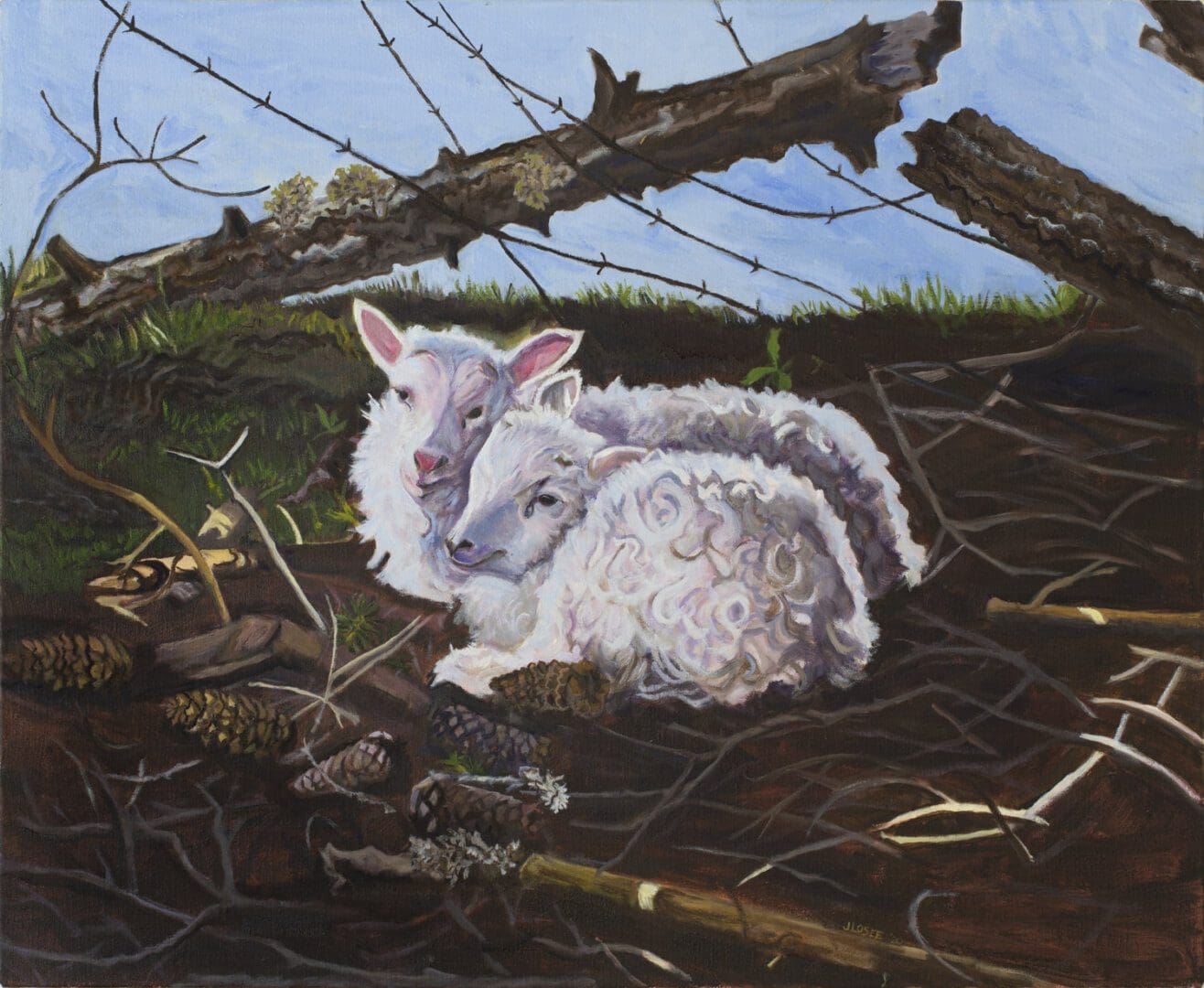 Two lambs resting under fallen branches.