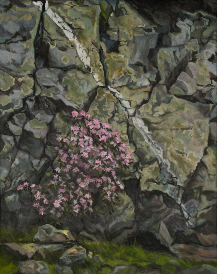Pink flowers growing on rocky cliff face.