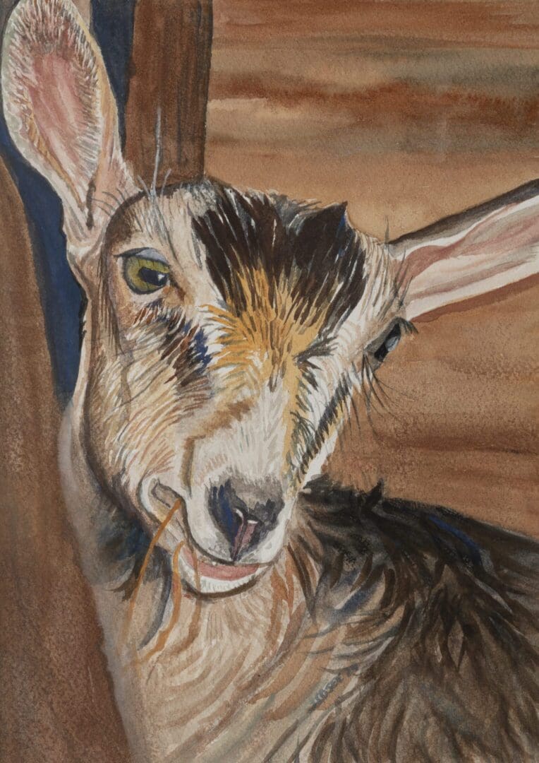 Baby Goat 10_x14_ Watercolor