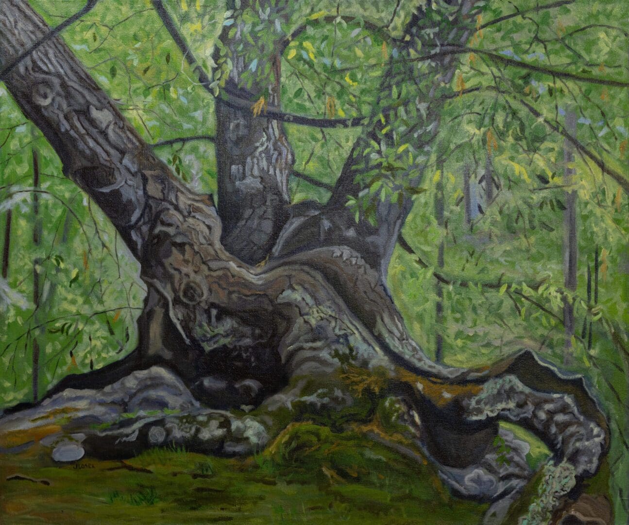 Giant in the Forest 36_x30_ Oil on Canvas