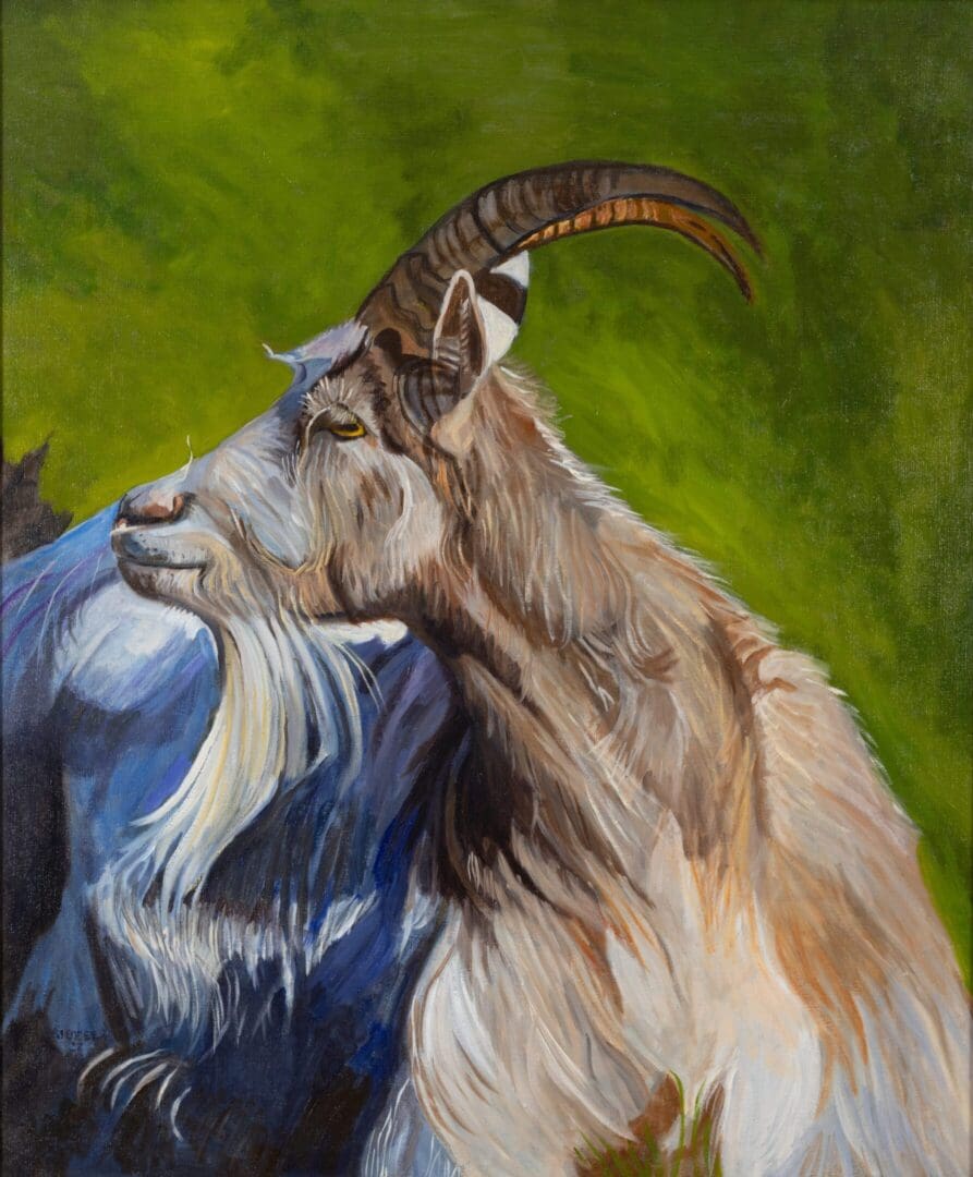 Icelandic Cashmere Goat #1 31.75_x27.75_ Oil on Linen