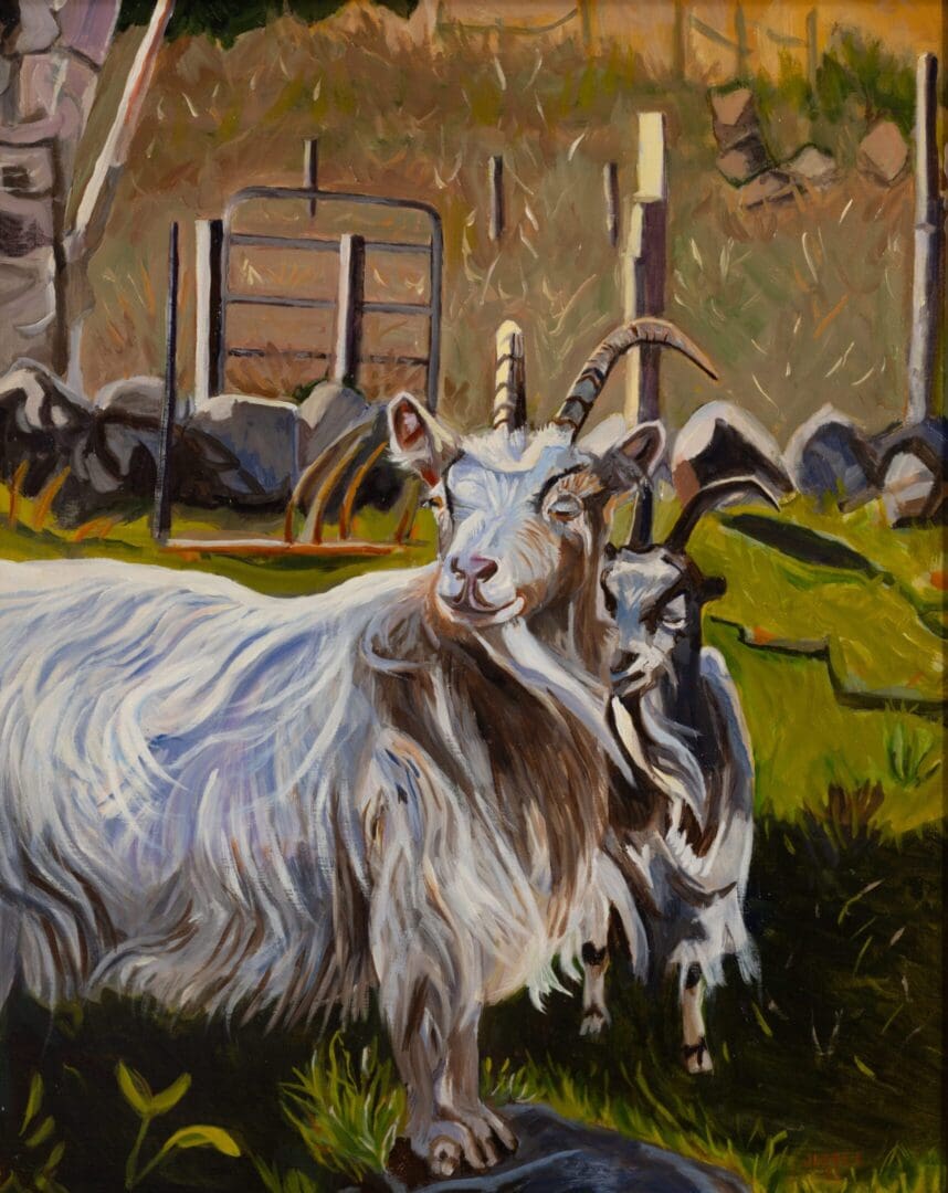 Icelandic Cashmere Goats #2 34_x30_ Oil on Linen