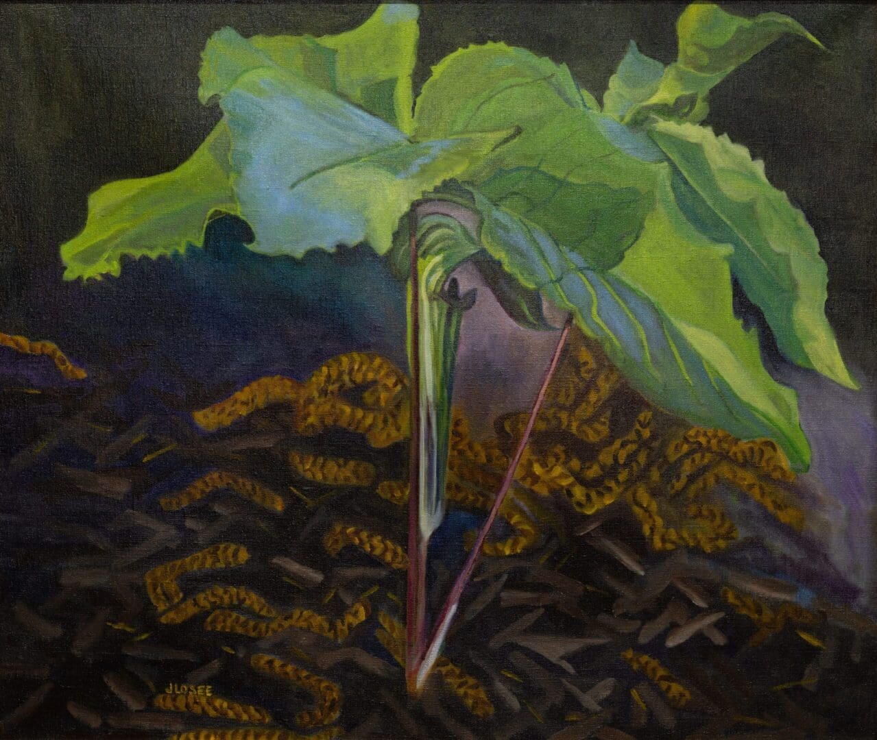 Jack in the Pulpit 30_x24_ Oil on Canvas