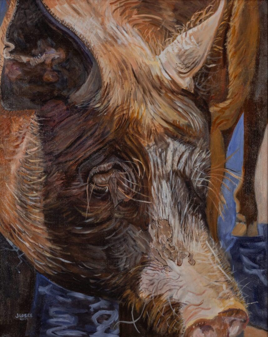 Portrait of a Sow 24_x30_ Oil on Canvas