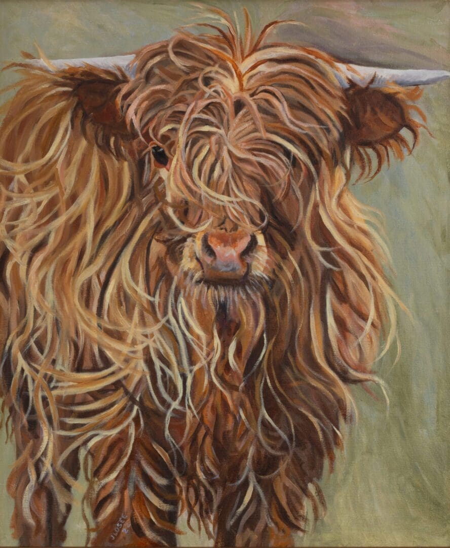 Scottish Highland Cow 20_x24_ Oil on Linen