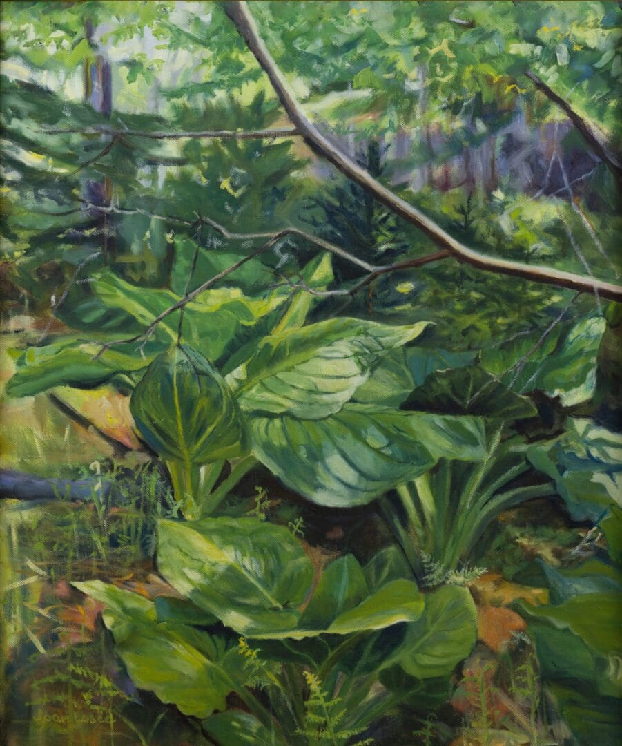 Skunk Cabbage 16_x20_ Oil on Canvas