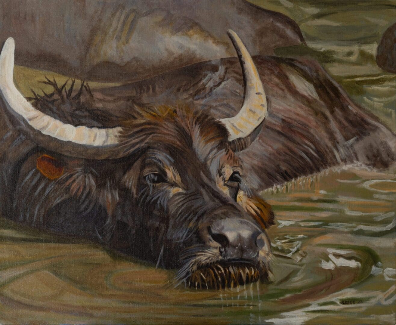 Water Buffalo Resting 32_x26_ Oil on Linen