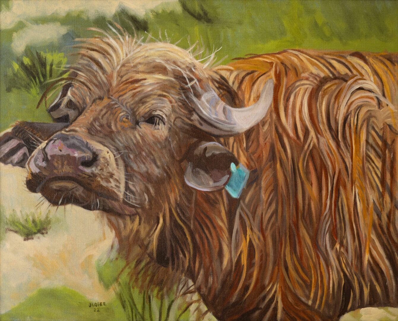 Water Buffalo Soaking Wet 32_x26_ Oil on Linen