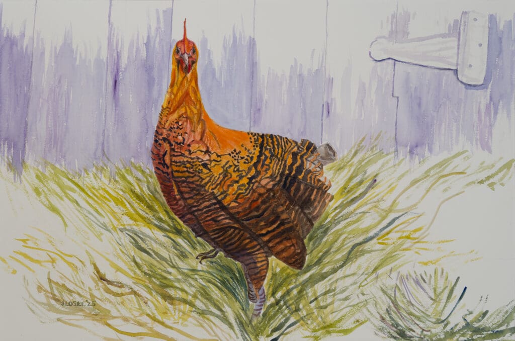 As a Wet Hen. 23.5X15.5 Watercolor