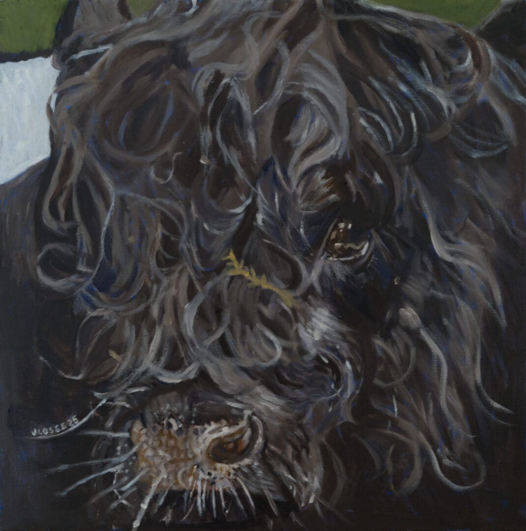 Eye of the Bull 20X20 Oil on Canvas