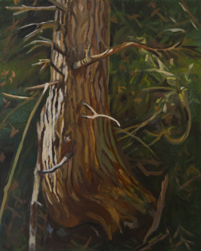 Forest Tree 24X30 Oil on Linen