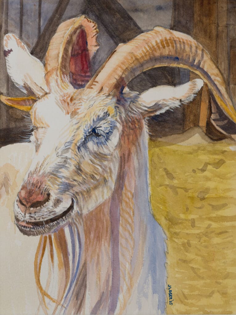 Gentleman Goat 10.5X14.25. Watercolor