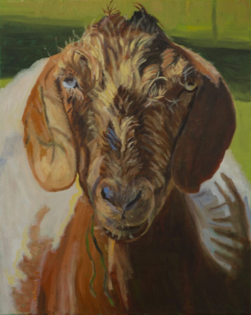 Goat in Shadow 16X20 Oil on Canvas