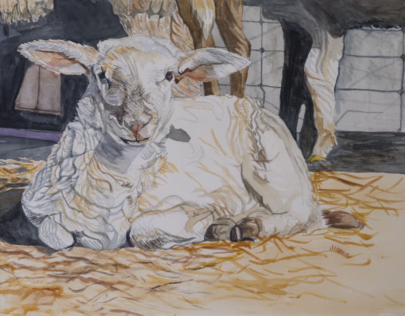 Lamb Resting 18 1-2x14 Watercolor