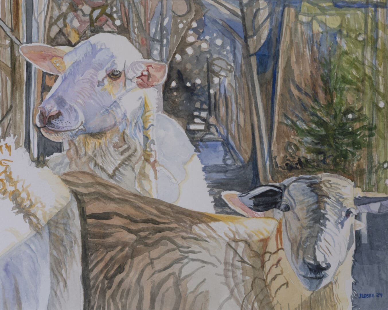Sheep 19 1-2x15 1-2 Watercolor