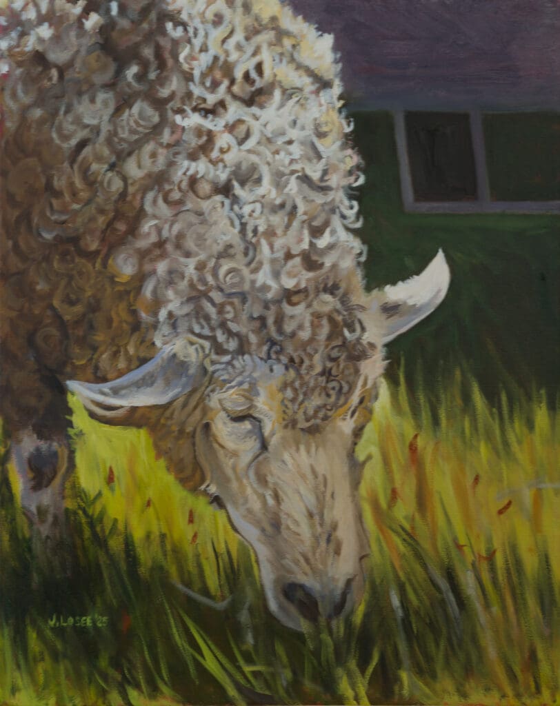 Sheep Grazing 16X20 Oil on Canvas