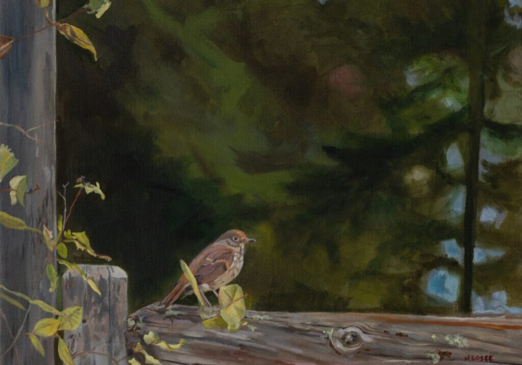 Bird perched on wooden ledge in forest.