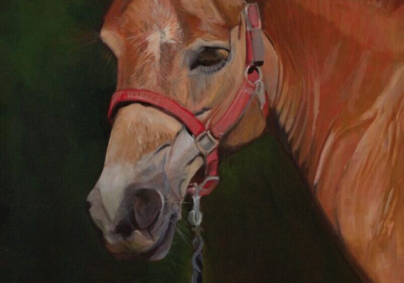 Painting of a horse with red halter.