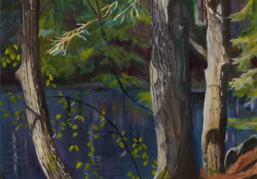 Forest scene with trees by a lake.