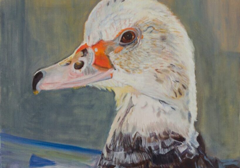 Painting of a duck with colorful background.
