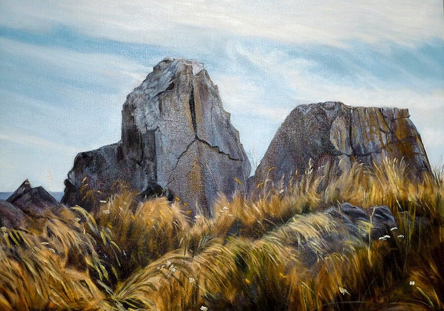 Rocky landscape with tall grass and sky.