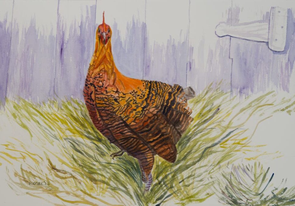 As a Wet Hen. 23.5X15.5 Watercolor