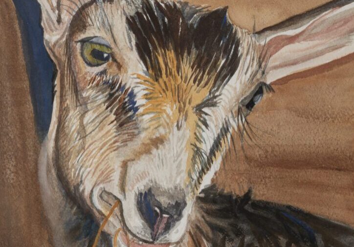 Baby Goat 10_x14_ Watercolor