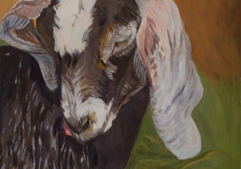 Painting of a goat with floppy ears.