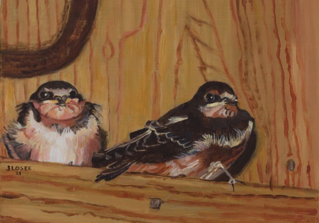 Two birds perched on wooden beam.