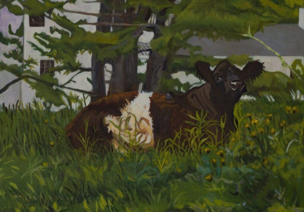 Cow resting in lush green field.