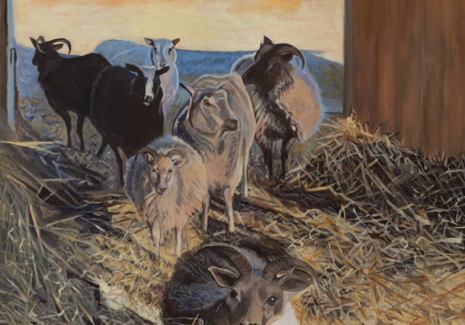 Coming into the Barn 31_x32_ Oil on Linen