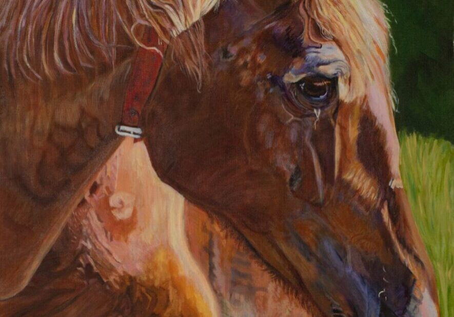 Painting of a brown horse with bridle.