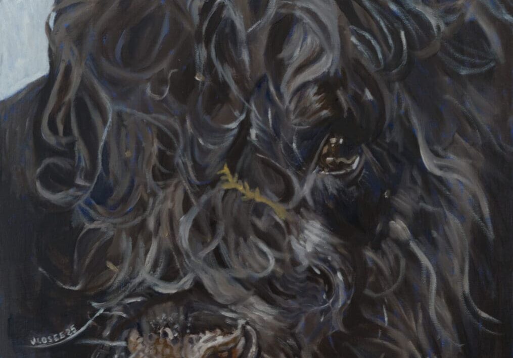 Eye of the Bull 20X20 Oil on Canvas