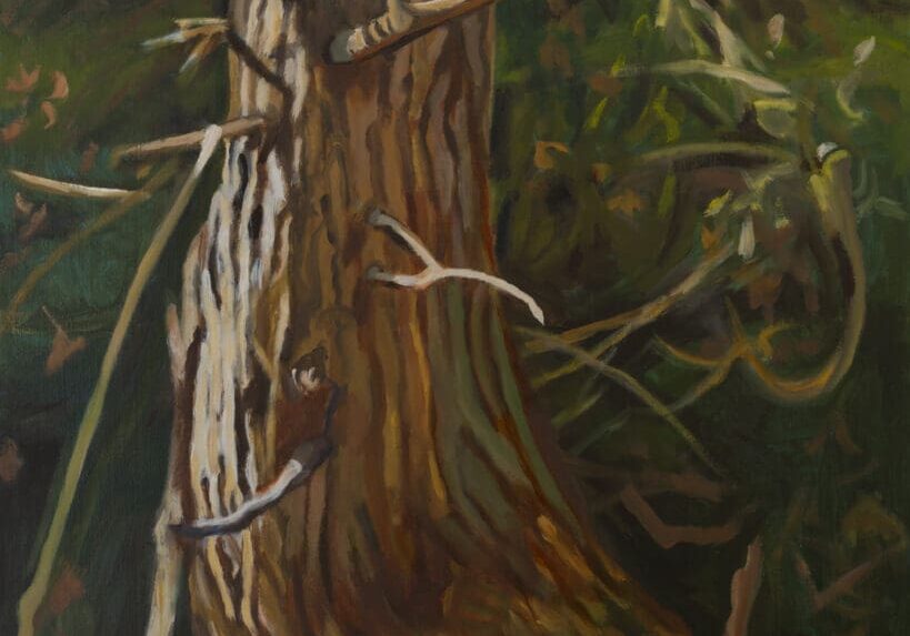 Forest Tree 24X30 Oil on Linen