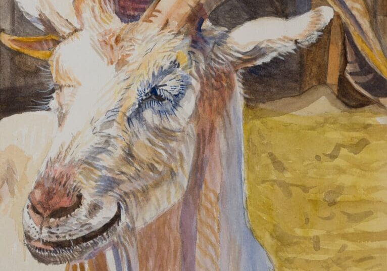 Gentleman Goat 10.5X14.25. Watercolor