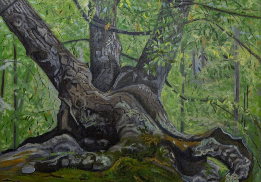 Giant in the Forest 36_x30_ Oil on Canvas