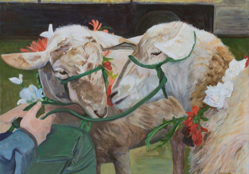 Sheep adorned with flowers and green halters.