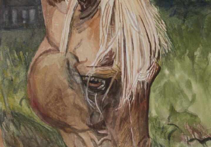 Horse Grazing 10_x14_ Watercolor