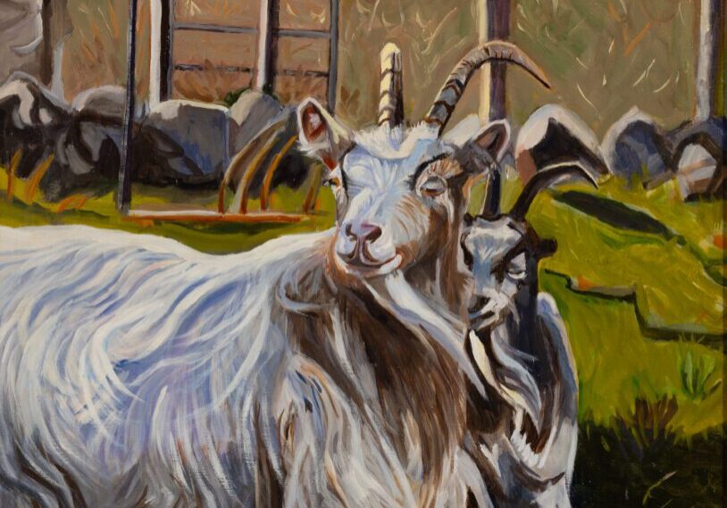 Icelandic Cashmere Goats #2 34_x30_ Oil on Linen