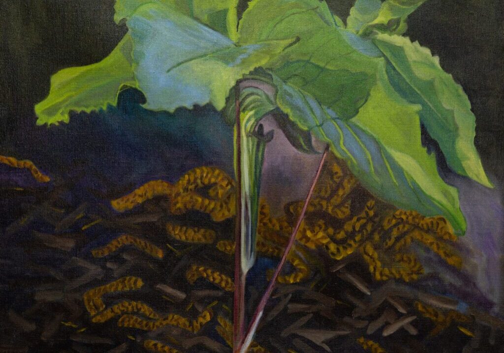 Jack in the Pulpit 30_x24_ Oil on Canvas