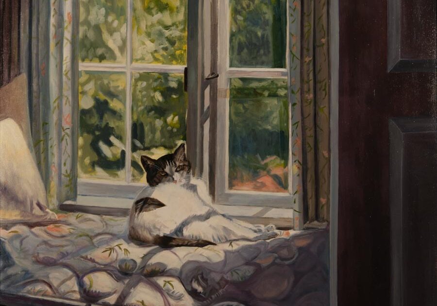 Cat lounging by a sunlit window.