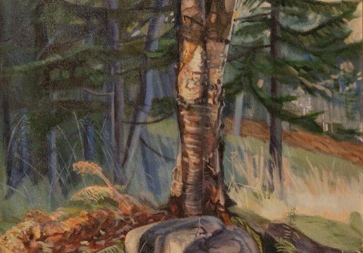 Tree and rocks in a sunlit forest.