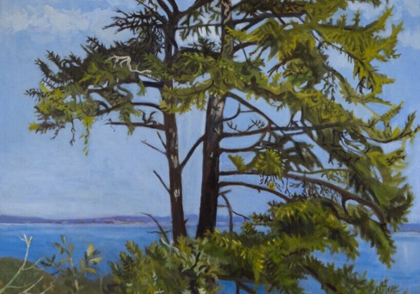 Tree by the sea under clear sky.