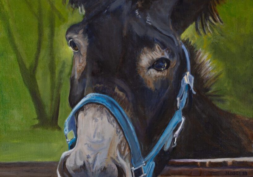 Poitevine Mule 24_x30_ Oil on Linen