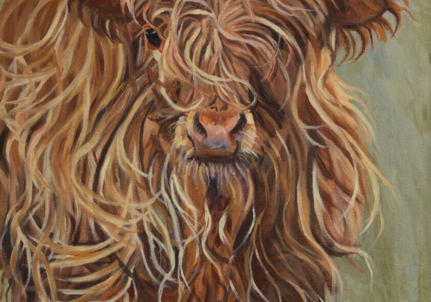 Scottish Highland Cow 20_x24_ Oil on Linen