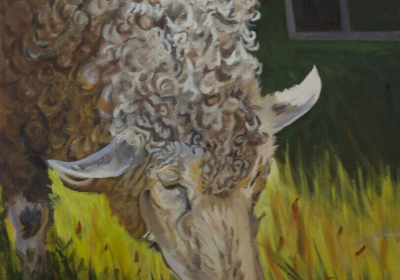 Sheep Grazing 16X20 Oil on Canvas