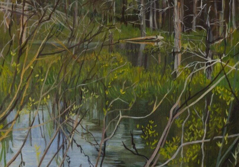 Forest scene with trees and reflective water.