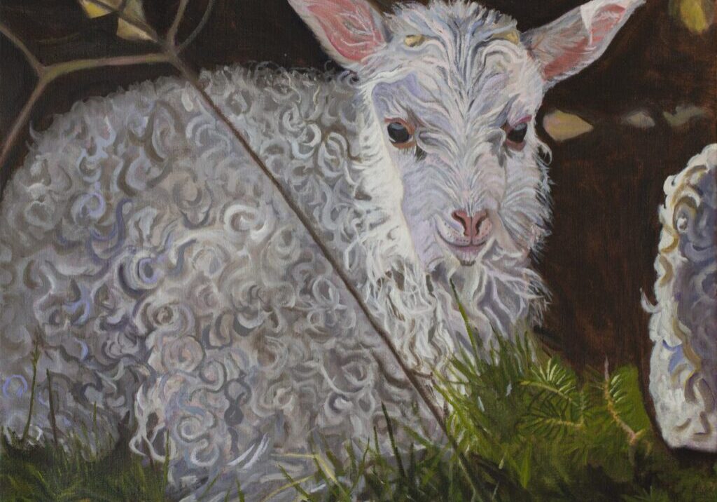 Young lamb resting on green grass.