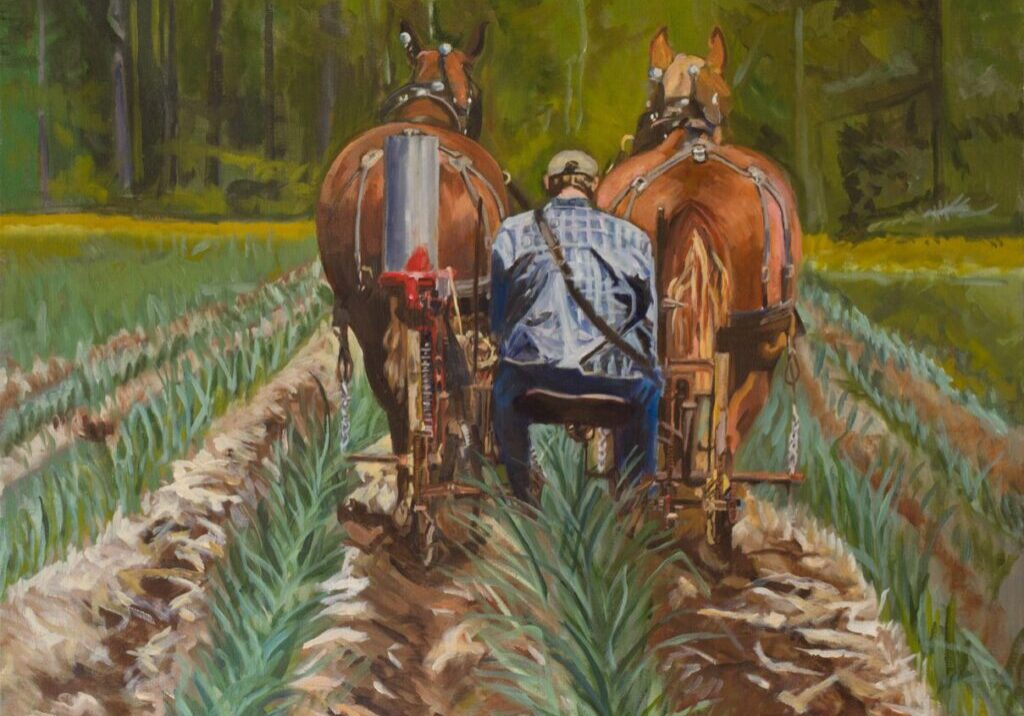 Farmer plowing field with two horses.
